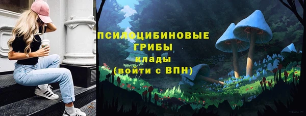 стафф Баксан