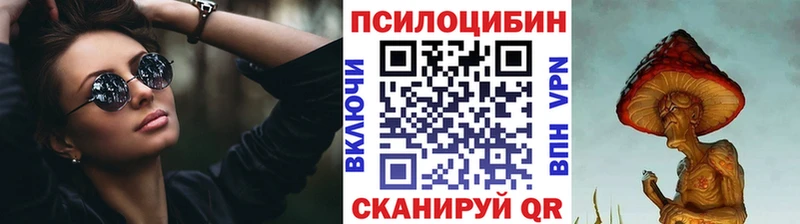 Купить где  Мураши  Галлюциногенные грибы Psilocybine cubensis 